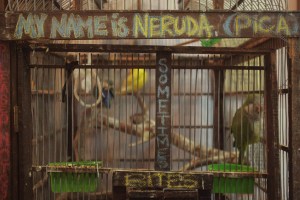 Photo by David Hobby.